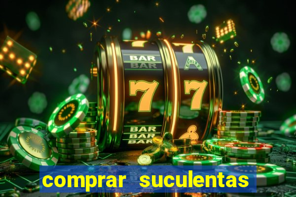 comprar suculentas direto do produtor